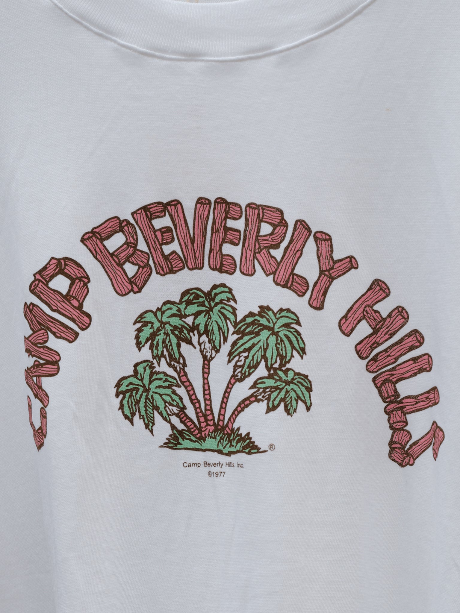 Vintage 70s Camp Beverly Hills Tee