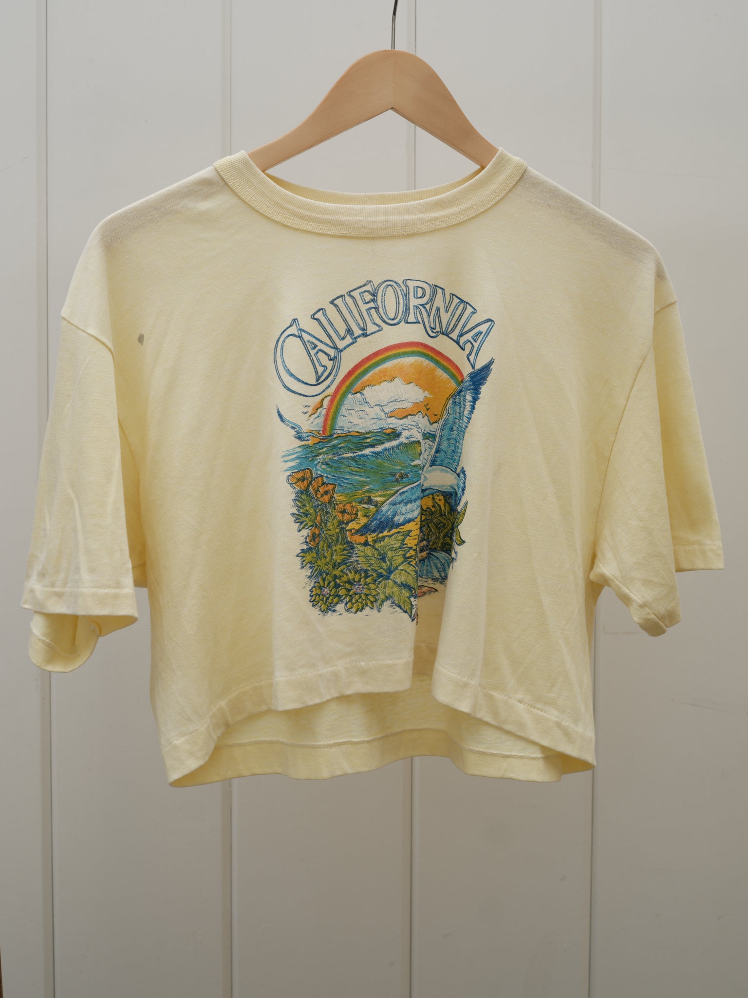 Vintage 70’s California Cropped Tee