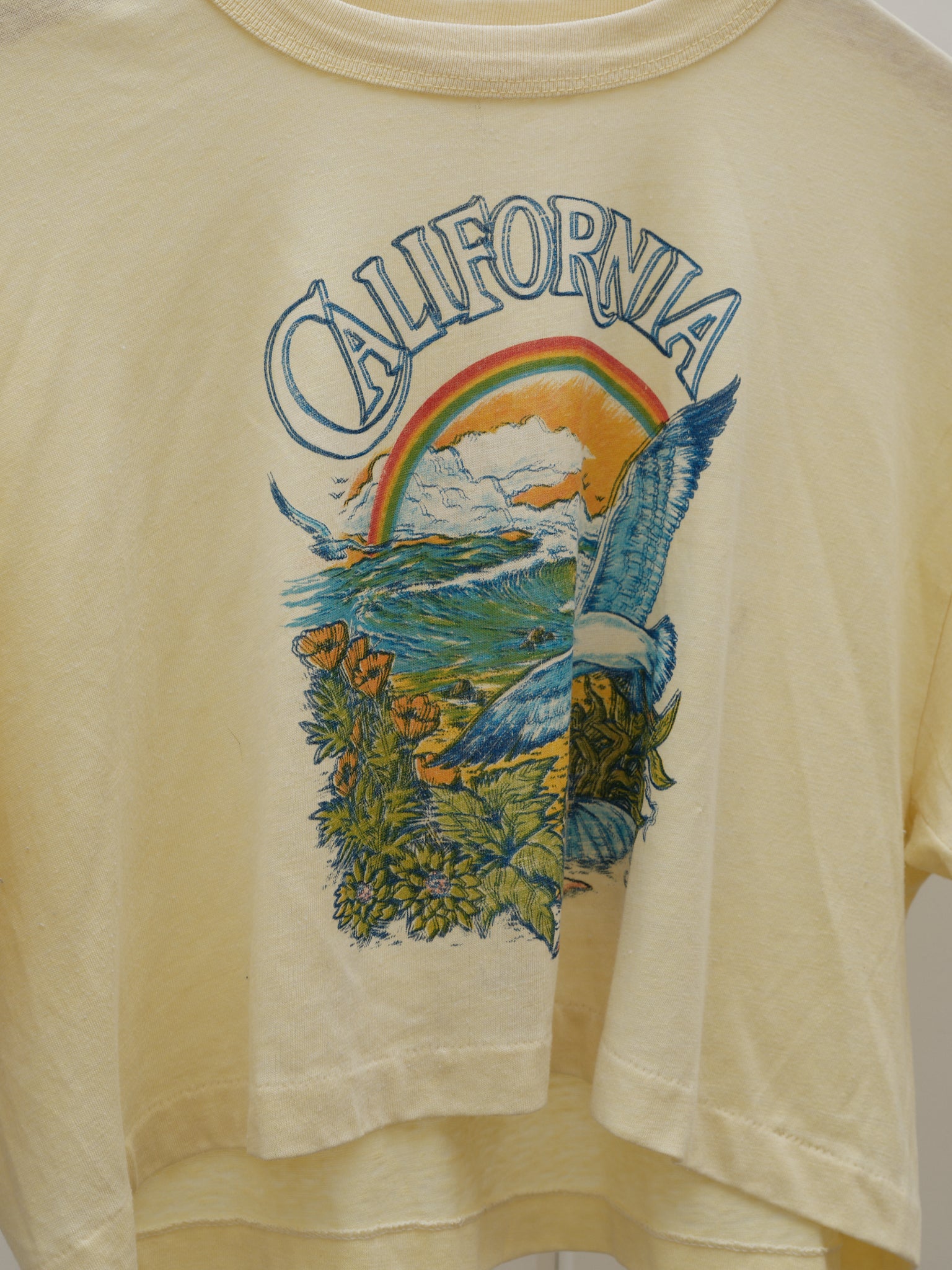 Vintage 70’s California Cropped Tee