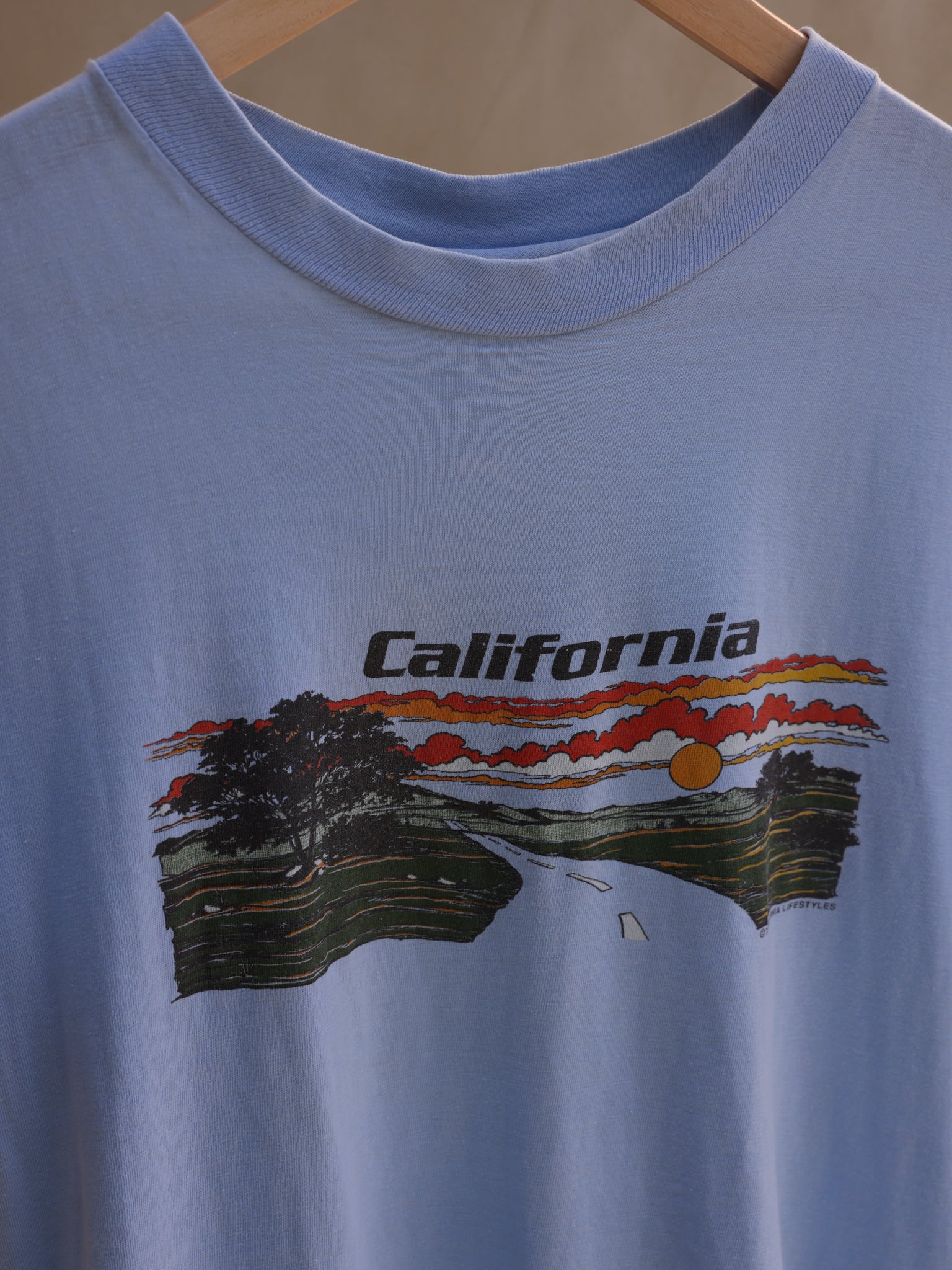 Vintage 1979 California T-Shirt